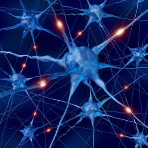 neuron thinking
