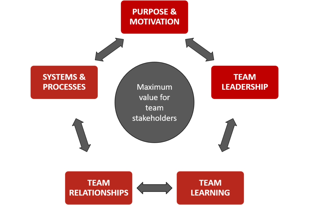 systemic team coaching framework