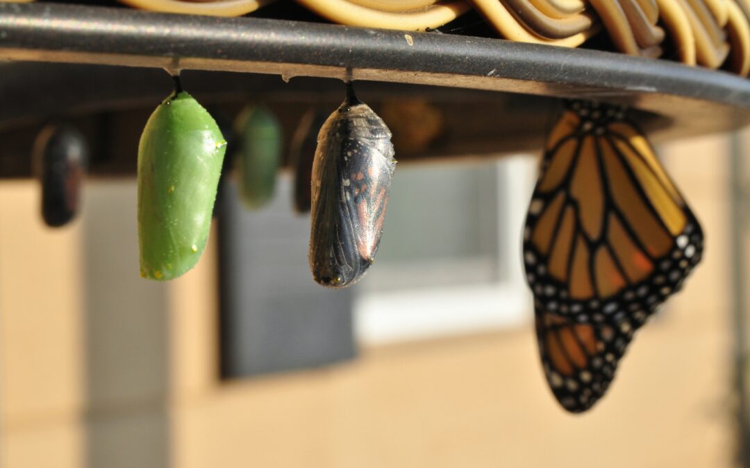 Why Leadership Isn’t Just a Promotion — It’s Personal Transformation