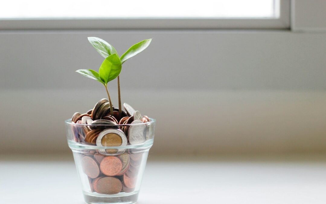 roi of team coaching; seedling growing in container of coins